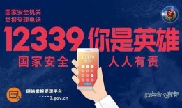 娱乐爆料号广告语是什么,独家广告语背后的秘密