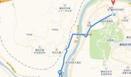 攀枝花西海岸爆料案件最新,真相渐明，疑云散去