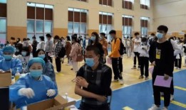河南队侄女爆料最新消息,揭秘球队内部最新动态