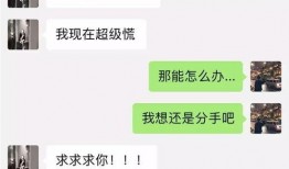 阳江网红吃瓜群微信号,揭秘本地热门话题，畅享趣味生活