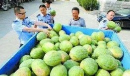 阳江网红吃瓜群微信号,揭秘本地热门话题，畅享趣味生活