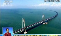泰安大桥爆料视频播放下载,下载量突破百万
