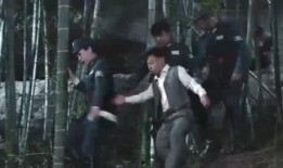 爆料刘哥历史事件视频,历史事件视频背后的真相与争议