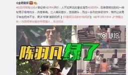 王贵妃爆料新闻事件视频,揭秘新闻事件背后惊人真相