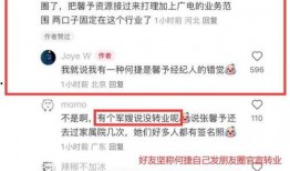 娱乐爆料号广告语是什么,独家广告语背后的秘密