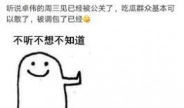卓伟爆料大哥视频全集播放,大哥视频全集幕后真相大起底