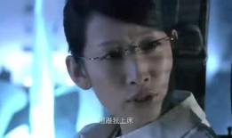 爆料刘哥历史事件视频,历史事件视频背后的真相与争议