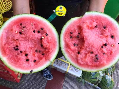 晋江娱乐圈吃瓜文推荐,揭秘明星背后的那些事