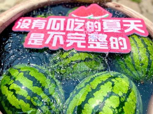 娱乐吃瓜场所有哪些,热门话题背后的真相与笑料